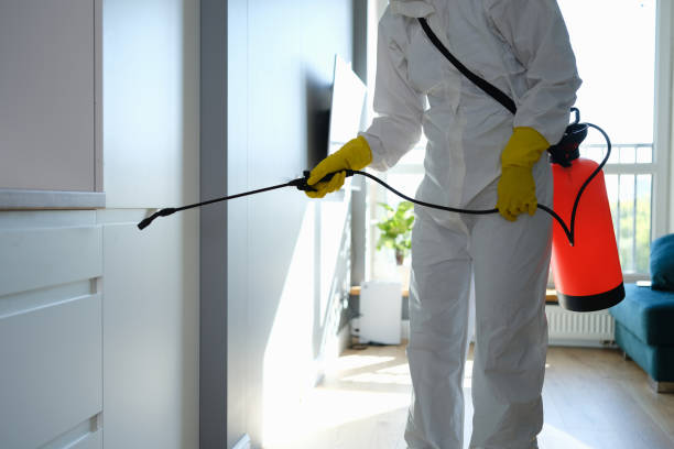 Best Toxic Mold Removal  in North Liberty, IA