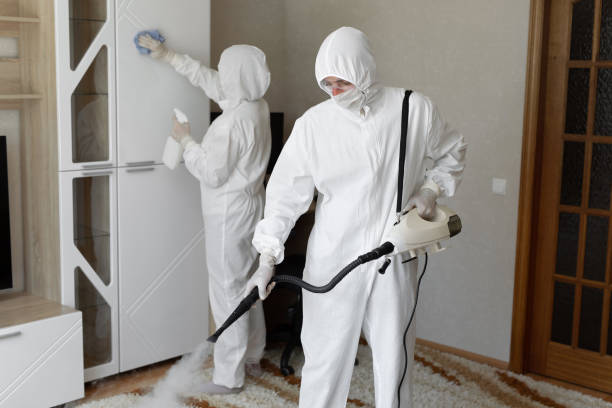 Best Mold Cleaning Services  in North Liberty, IA