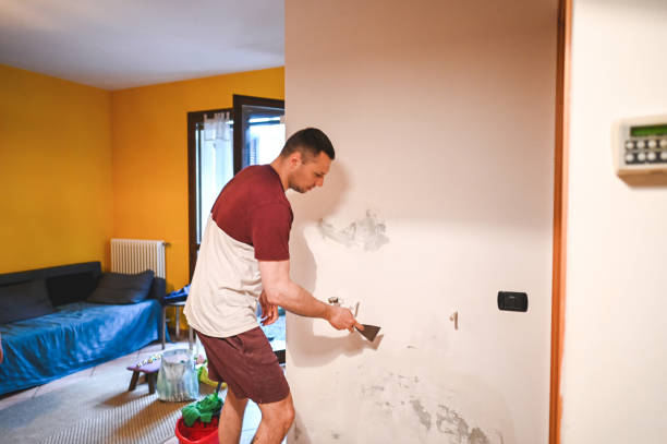 Best Mold Removal Near Me  in North Liberty, IA